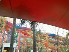 -苏州乐园森林水世界