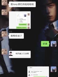 -大象造型