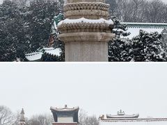 -颐和园