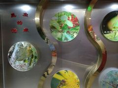 -上海昆虫博物馆