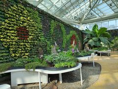 -石家庄市植物园