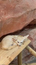 -Zoolung Zoolung动物主题公园(海信广场店)