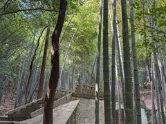 -敬亭山风景名胜区