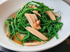 腐竹丝瓜尖-青梅酒肆PLUS(长白仙岛北路店)