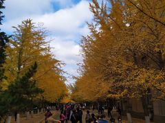 -辽宁大学(崇山校区)