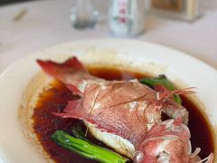 东星斑龙吐珠-顺峰(农展馆店)