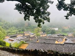 -杨家堂村