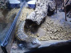 -酷嗒动物文化乐园(cutezoo西溪乐天城店)