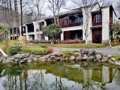 -杭州雅谷泉山庄酒店-餐厅