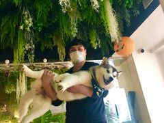 -Husky Go! 哈士奇体验馆·宠物咖啡厅狗咖