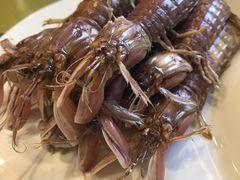 -渔娘渔家丹东海鲜(东直门店)