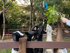 -广州锦绣香江度假别墅