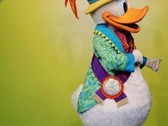 -奥兰多迪士尼动物王国乐园