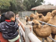 -无锡动物园·太湖欢乐园