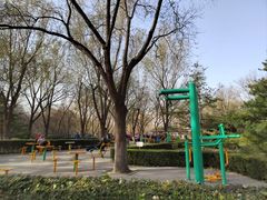 -莲花池公园