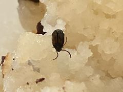 -一品方糕专卖店