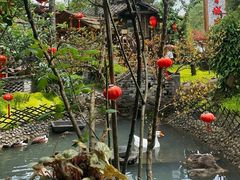 -青城甲(青城山店)