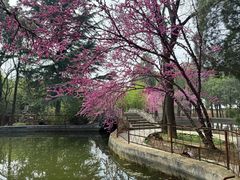 -永乐宫