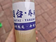-养马岛旅游度假区