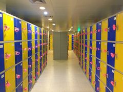 -重庆市奥林匹克体育中心-游泳跳水馆