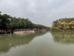 -大湾区中央湿地公园