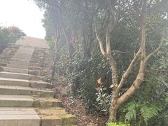-缥缈峰景区