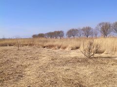 -野鸭湖国家湿地公园