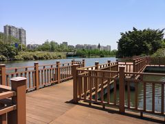 -三垟湿地