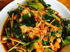 -大邑李记肥肠血旺