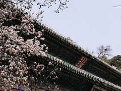 -潭柘寺景区