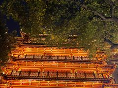 -大佛寺高级素食自助餐厅