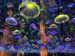 -成都梵高星空艺术馆(春熙路旗舰店)
