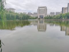 -武汉交通职业学院