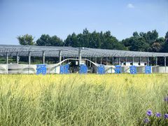 -中国天府农业博览园