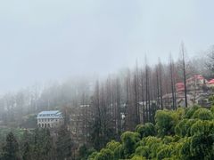 -莫干山风景区