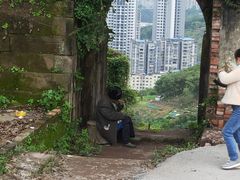 -翠屏公园