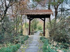 -梦姑塘文化公园