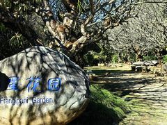 -云南勐巴娜西珍奇园