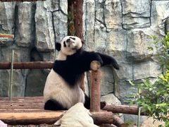 -泉州海丝野生动物世界