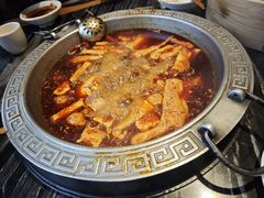 -杨肥肠小火锅(新桥店)
