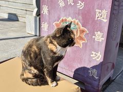 -威海华夏城景区