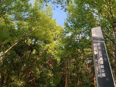 -青龙山国家森林公园