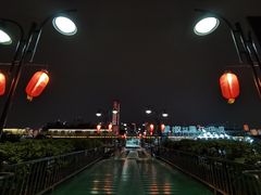 -武汉两江游览·夜游长江(汉口粤汉码头)