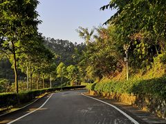-火炉山森林公园