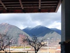 -林芝工布庄园希尔顿酒店-猎味中餐厅