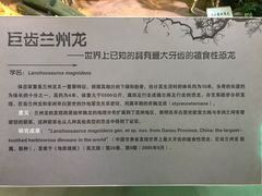 景点-甘肃地质博物馆