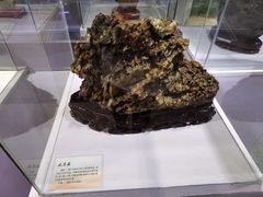 -中国第四纪冰川遗迹陈列馆