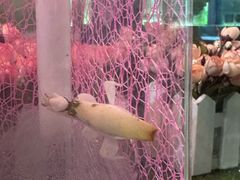 -上海昆虫博物馆