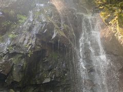 -藏龙百瀑风景区