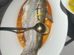 -醉庐·新上海菜(南京西路店)